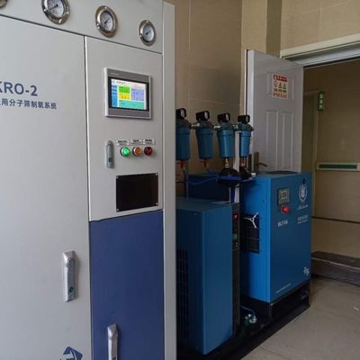 380V Edelstahl 40 GP Behälter Kleine PSA-basierte Sauerstoffanlage vor Ort