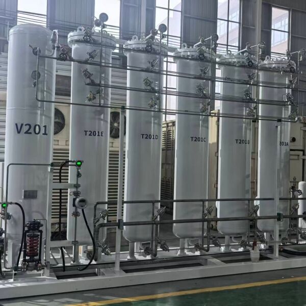 Präzise Steuerungssystem PSA-Wasserstoffgasanlage mit hoher Reinheitsströmungsrate