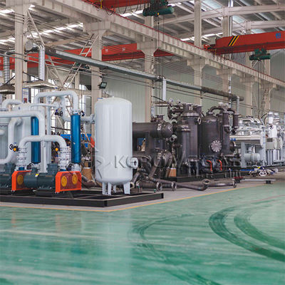 100 Nm3hr Nullverlust Industriegastrockner Wasserstoffgastrockner automatisch