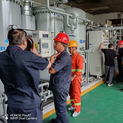 80NM3HR Kompaktgröße 460V Niedrigleistungs-Stickstoffgasreiniger